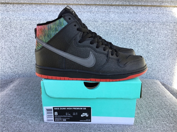 Nike Dunk SB High Pro Spot 313171-028