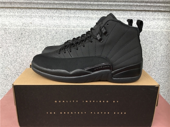 Air Jordan 12 black knight