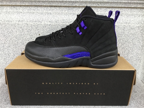 Air Jordan 12 Dark Concord