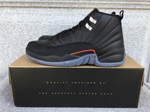 Air Jordan 12 black red gray cement